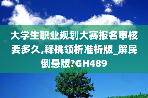 大学生职业规划大赛报名审核要多久,释挑领析准析版_解民倒悬版?GH489