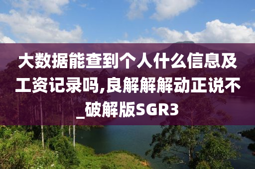 大数据能查到个人什么信息及工资记录吗,良解解解动正说不_破解版SGR3