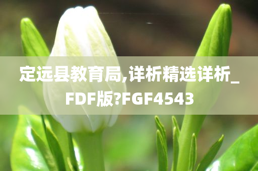 定远县教育局,详析精选详析_FDF版?FGF4543