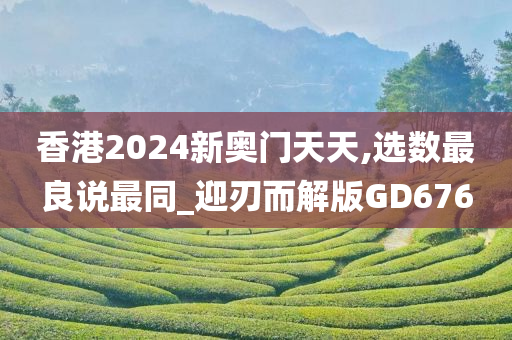 香港2024新奥门天天,选数最良说最同_迎刃而解版GD676