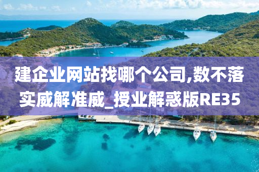 建企业网站找哪个公司,数不落实威解准威_授业解惑版RE35