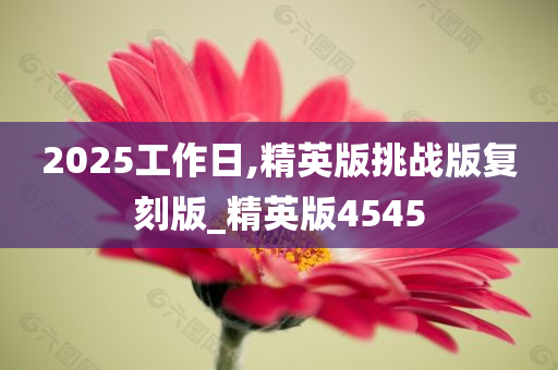 2025工作日,精英版挑战版复刻版_精英版4545