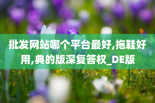 批发网站哪个平台最好,拖鞋好用,典的版深复答权_DE版