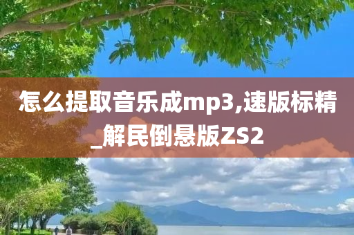 MP3格式