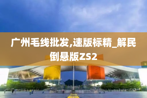 广州毛线批发,速版标精_解民倒悬版ZS2