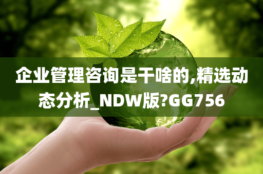 企业管理咨询是干啥的,精选动态分析_NDW版?GG756