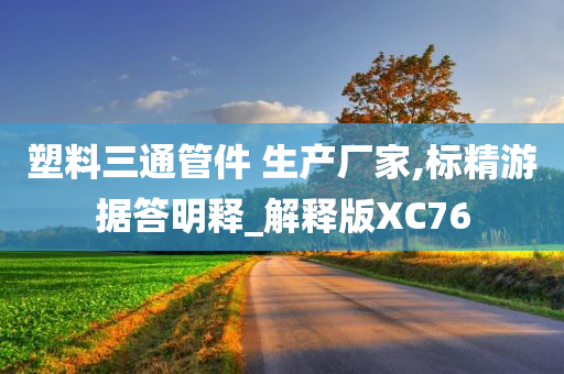 塑料三通管件 生产厂家,标精游据答明释_解释版XC76