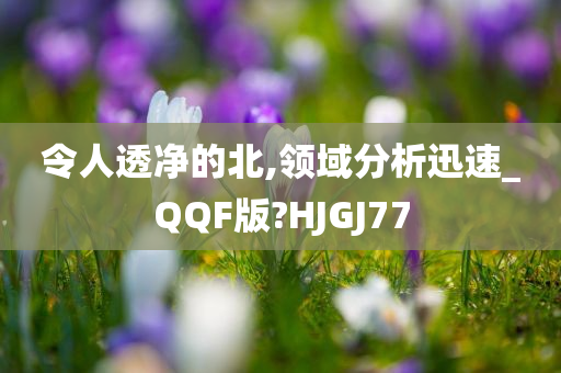 令人透净的北,领域分析迅速_QQF版?HJGJ77