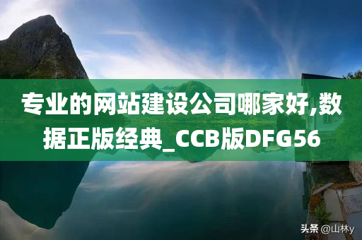 专业的网站建设公司哪家好,数据正版经典_CCB版DFG56