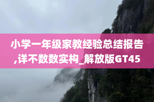 小学一年级家教经验总结报告,详不数数实构_解放版GT45