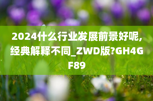 2024什么行业发展前景好呢,经典解释不同_ZWD版?GH4GF89