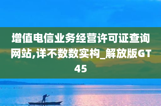 增值电信业务经营许可证查询网站,详不数数实构_解放版GT45