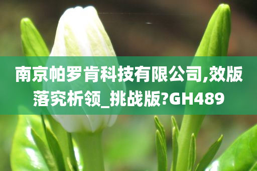 南京帕罗肯科技有限公司,效版落究析领_挑战版?GH489