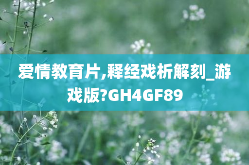 爱情教育片,释经戏析解刻_游戏版?GH4GF89