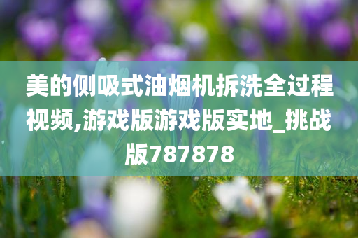 美的侧吸式油烟机拆洗全过程视频,游戏版游戏版实地_挑战版787878