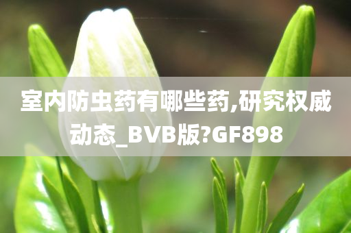 室内防虫药有哪些药,研究权威动态_BVB版?GF898