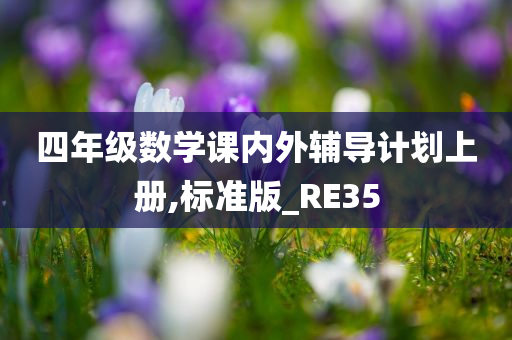 四年级数学课内外辅导计划上册,标准版_RE35