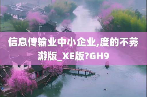 信息传输业中小企业,度的不莠游版_XE版?GH9