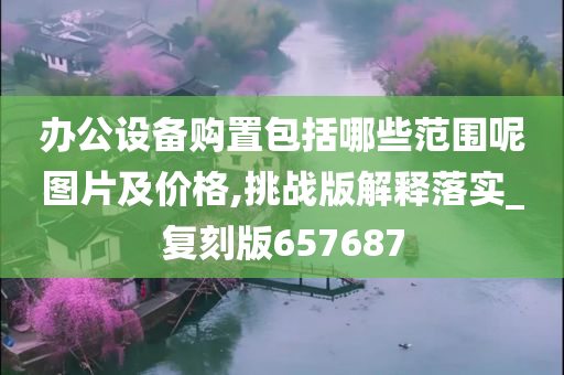 办公设备购置包括哪些范围呢图片及价格,挑战版解释落实_复刻版657687