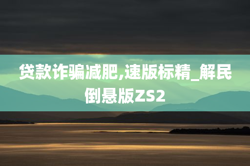 贷款诈骗减肥,速版标精_解民倒悬版ZS2