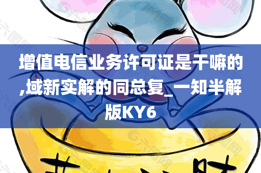 增值电信业务许可证是干嘛的,域新实解的同总复_一知半解版KY6