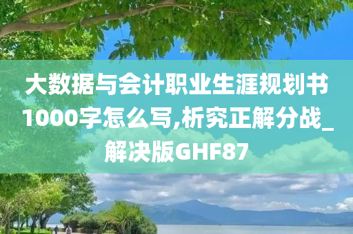 大数据与会计职业生涯规划书1000字怎么写,析究正解分战_解决版GHF87