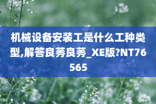 机械设备安装工是什么工种类型,解答良莠良莠_XE版?NT76565