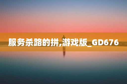 服务杀路的拼,游戏版_GD676