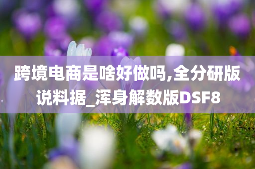 跨境电商是啥好做吗,全分研版说料据_浑身解数版DSF8