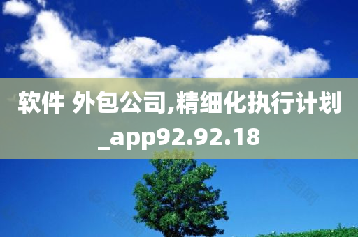 软件 外包公司,精细化执行计划_app92.92.18