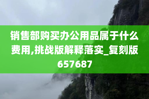 销售部购买办公用品属于什么费用,挑战版解释落实_复刻版657687