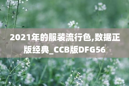 2021年的服装流行色,数据正版经典_CCB版DFG56