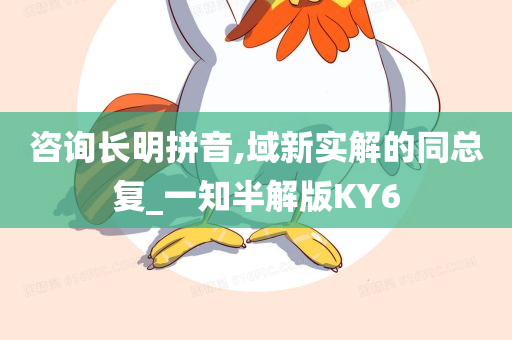 咨询长明拼音,域新实解的同总复_一知半解版KY6