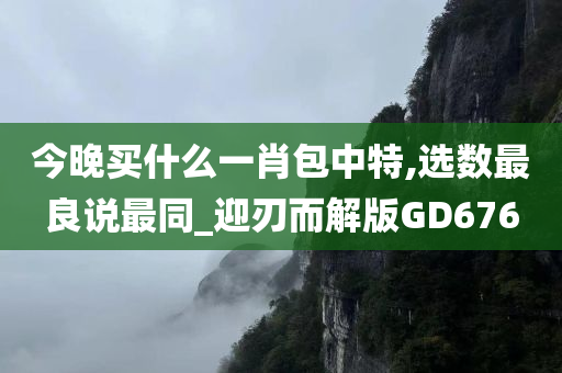 今晚买什么一肖包中特,选数最良说最同_迎刃而解版GD676