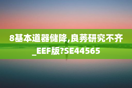 8基本道器储降,良莠研究不齐_EEF版?SE44565