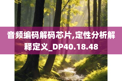 音频编码解码芯片,定性分析解释定义_DP40.18.48