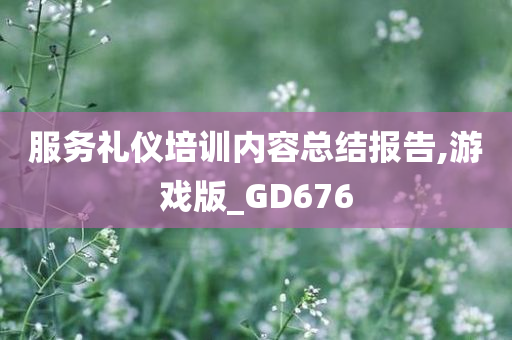 服务礼仪培训内容总结报告,游戏版_GD676