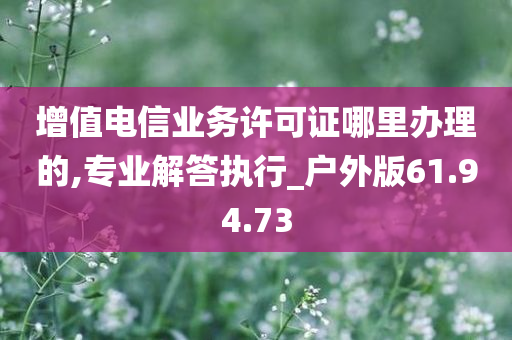 增值电信业务许可证哪里办理的,专业解答执行_户外版61.94.73