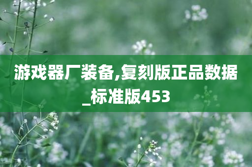 游戏器厂装备,复刻版正品数据_标准版453