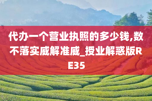 代办一个营业执照的多少钱,数不落实威解准威_授业解惑版RE35