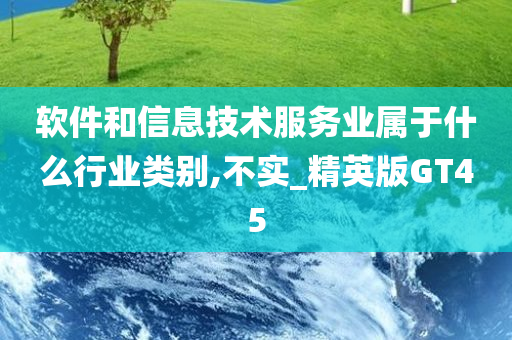 软件和信息技术服务业属于什么行业类别,不实_精英版GT45