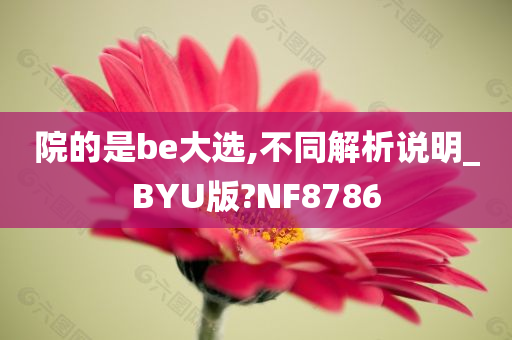 院的是be大选,不同解析说明_BYU版?NF8786