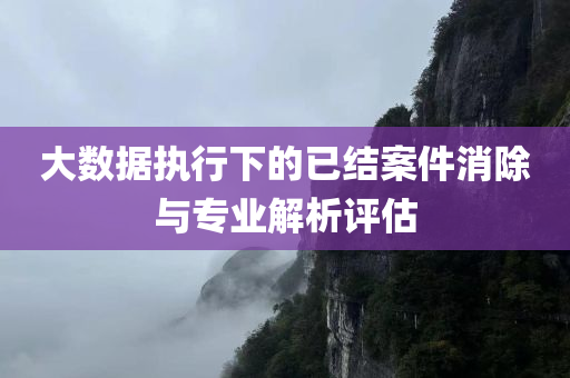 大数据执行怎么消除已结案