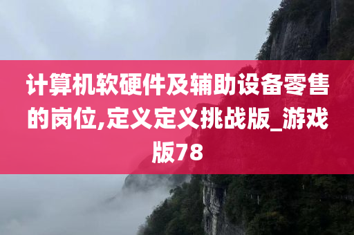 计算机软硬件及辅助设备零售的岗位,定义定义挑战版_游戏版78