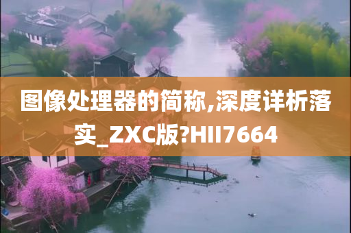 图像处理器的简称,深度详析落实_ZXC版?HII7664