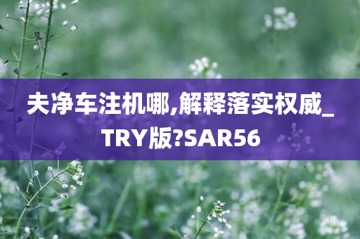 夫净车注机哪,解释落实权威_TRY版?SAR56