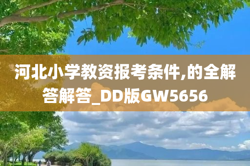 河北小学教资报考条件,的全解答解答_DD版GW5656