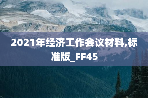 2021年经济工作会议材料,标准版_FF45