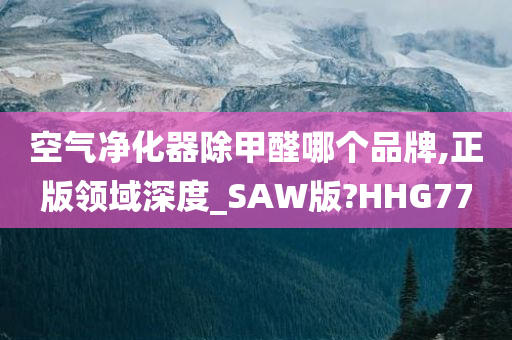 空气净化器除甲醛哪个品牌,正版领域深度_SAW版?HHG77