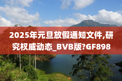 2025年元旦放假通知文件,研究权威动态_BVB版?GF898